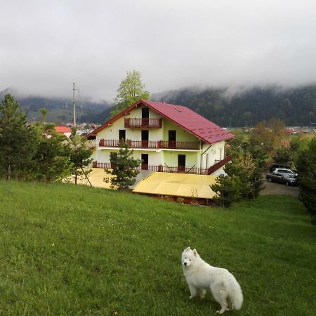 Grandemi Belvedere Bucovina Frasin 외부 사진