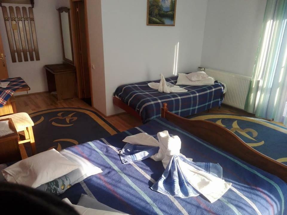 Grandemi Belvedere Bucovina Frasin 외부 사진